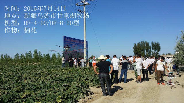 2015年7月14日烏蘇市甘家湖牧場(chǎng)棉花作業(yè)